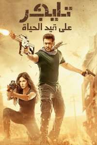 Tiger Zinda Hai - Poster