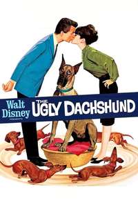 The Ugly Dachshund - Poster