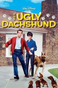 The Ugly Dachshund - Poster