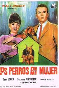 The Ugly Dachshund - Poster