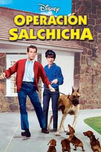 The Ugly Dachshund - Poster