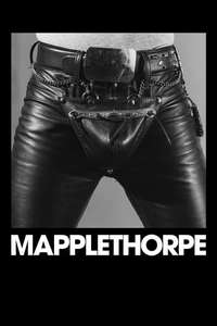 Mapplethorpe - Poster