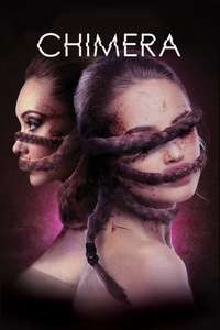 Braid - Poster