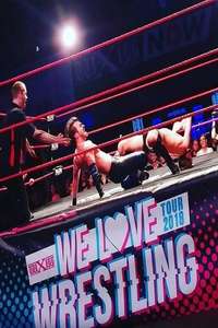 wXw We Love Wrestling Tour 2018: Frankfurt - Poster