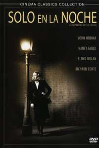 Somewhere in the Night - Poster
