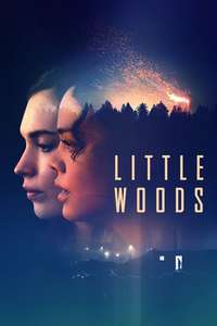 Little Woods - Poster