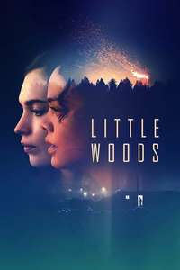 Little Woods - Poster