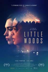Little Woods - Poster