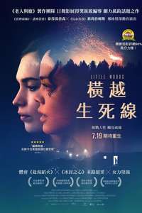 Little Woods - Poster