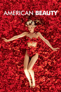 American Beauty - Poster
