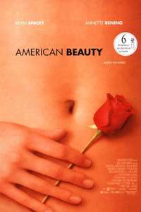 American Beauty - Poster