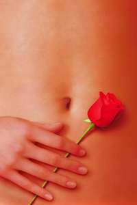 American Beauty - Poster