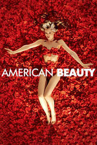 American Beauty - Poster
