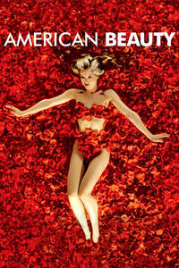 American Beauty - Poster