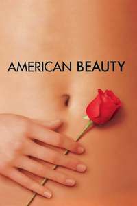 American Beauty - Poster