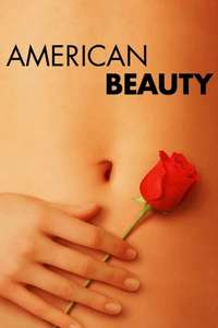 American Beauty - Poster