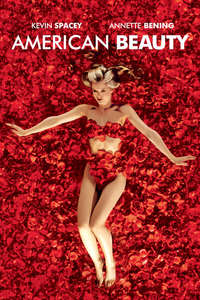 American Beauty - Poster