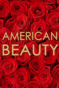 American Beauty - Poster