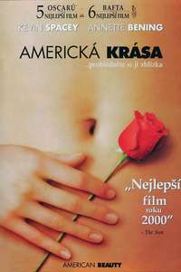 American Beauty - Poster