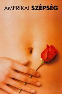 American Beauty - Poster