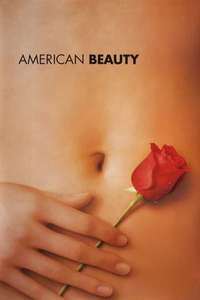 American Beauty - Poster