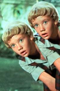 The Parent Trap - Poster