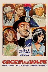 After the Fox - Poster