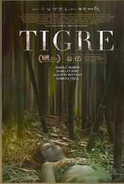 Tigre