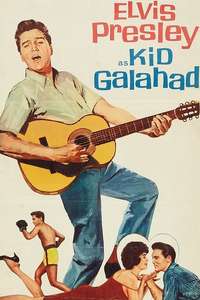 Kid Galahad - Poster
