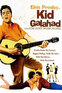 Kid Galahad - Poster