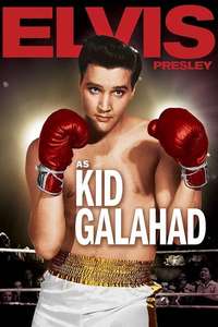 Kid Galahad - Poster