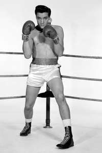 Kid Galahad - Poster