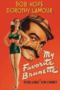 My Favorite Brunette - Posters
