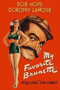 My Favorite Brunette - Posters