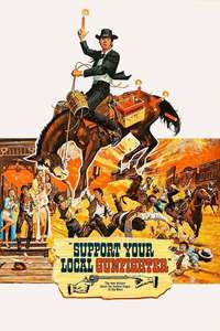 Support Your Local Gunfighter - Posters