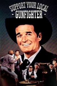Support Your Local Gunfighter - Posters