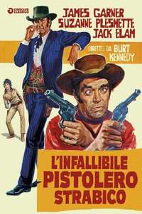 Support Your Local Gunfighter - Posters