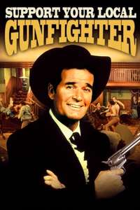 Support Your Local Gunfighter - Posters