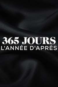 The Next 365 Days - Posters
