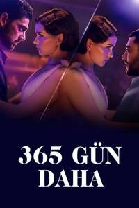 The Next 365 Days - Posters