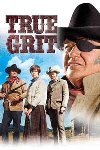 True Grit - Poster