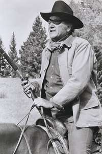 True Grit - Poster
