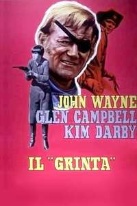True Grit - Poster
