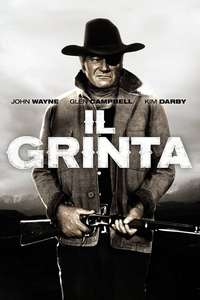 True Grit - Poster