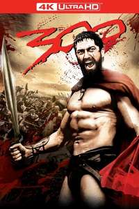 300 - Posters