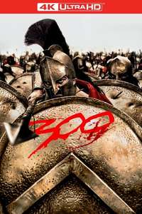 300 - Posters