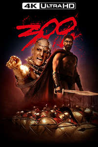 300 - Posters