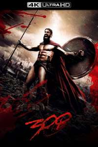 300 - Posters
