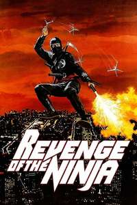Revenge of the Ninja - Poster