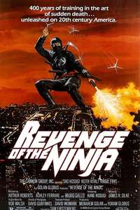 Revenge of the Ninja - Poster